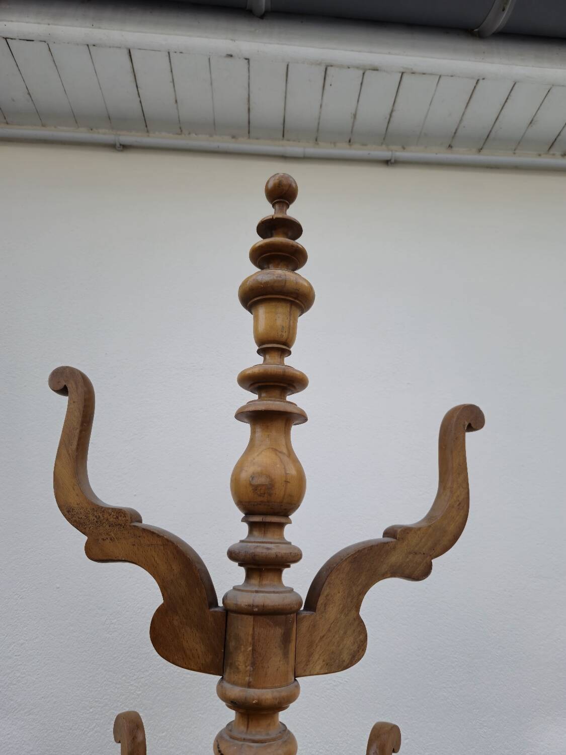 Antique 19th century parrot coat rack
