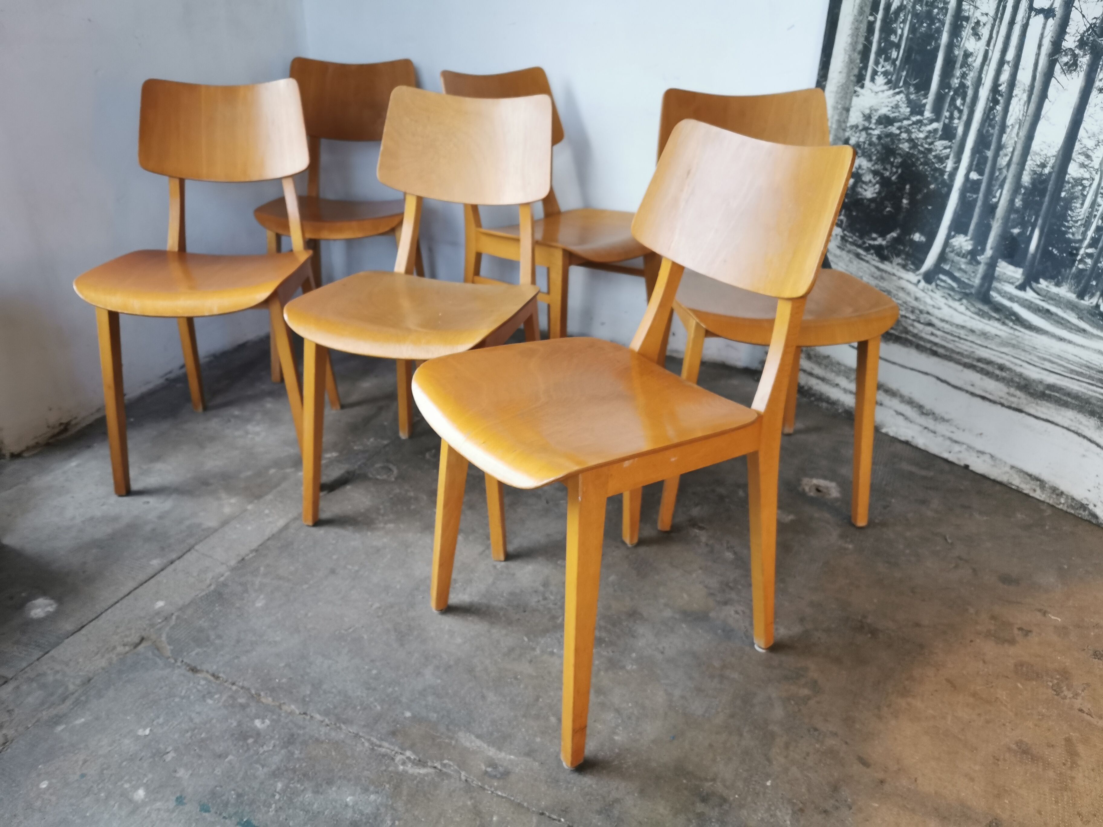 Set of 6 chairs from the 60s
