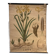 Old botanical plate from the Deyrolle house “L'Iris”