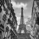 The Eiffel Tower
