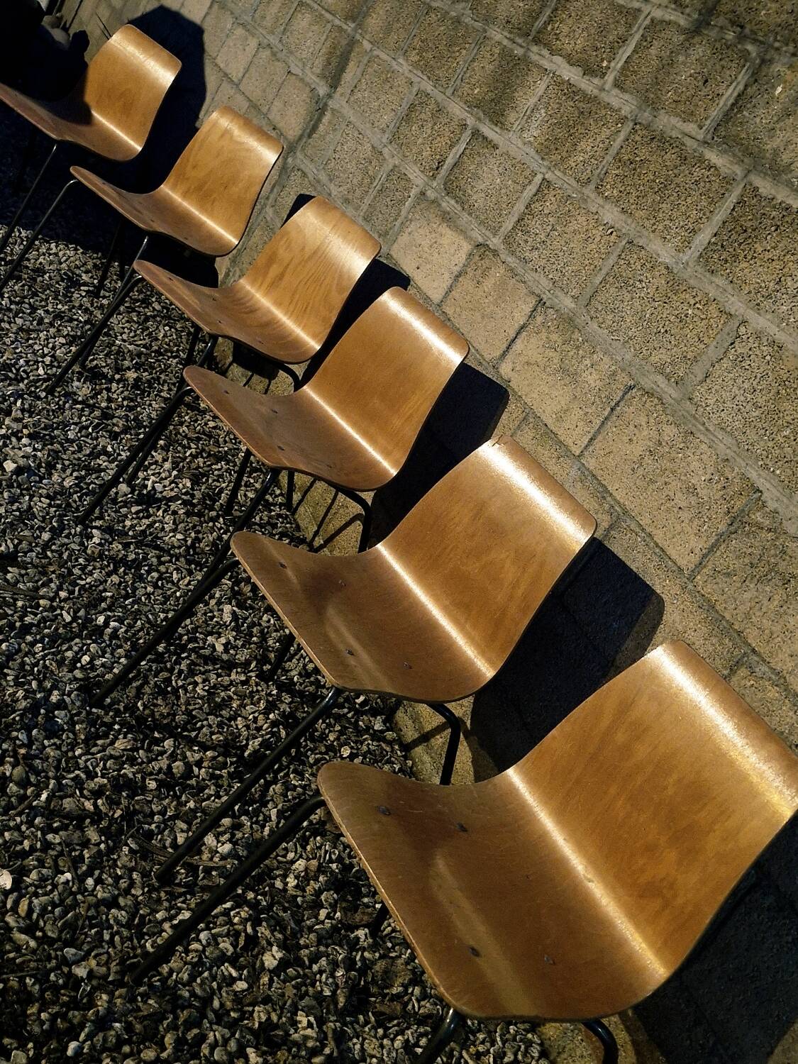 Suite de 6 Chaises Pierre Guariche modèle Papyrus Édition Steiner 1950