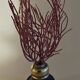 Cabinet of Curiosities red coral ellisella ceratophyta on base