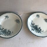 Pair ancient dishes Terre de fer