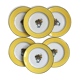 set of 6 porcelain plates "Chapeau and garlands flowers"