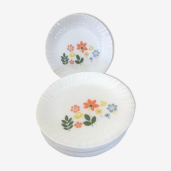 Set de 6 assiettes Arcopal décor fleurs vintage