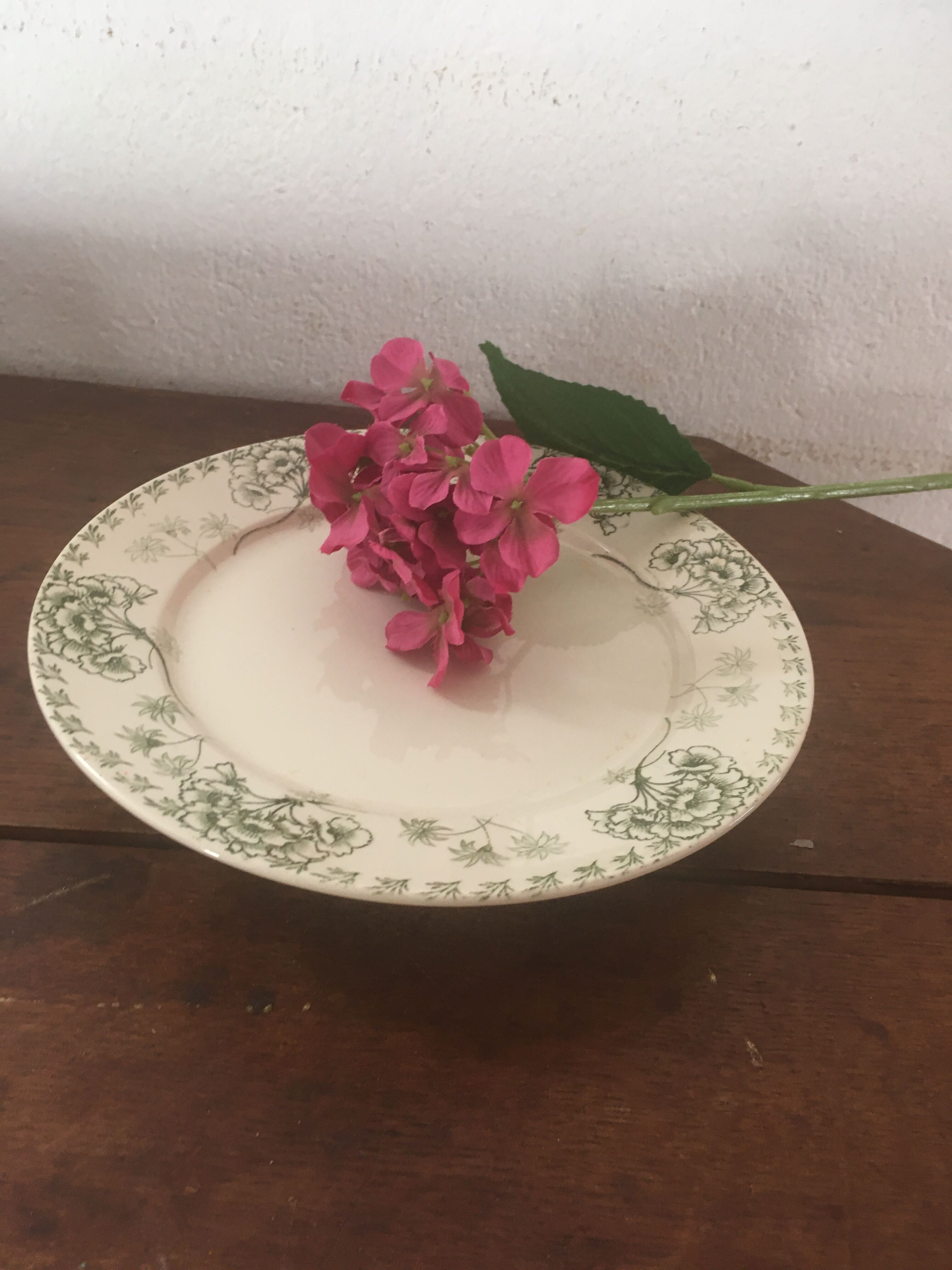 Sarreguemines "palmyre" presentation plate.