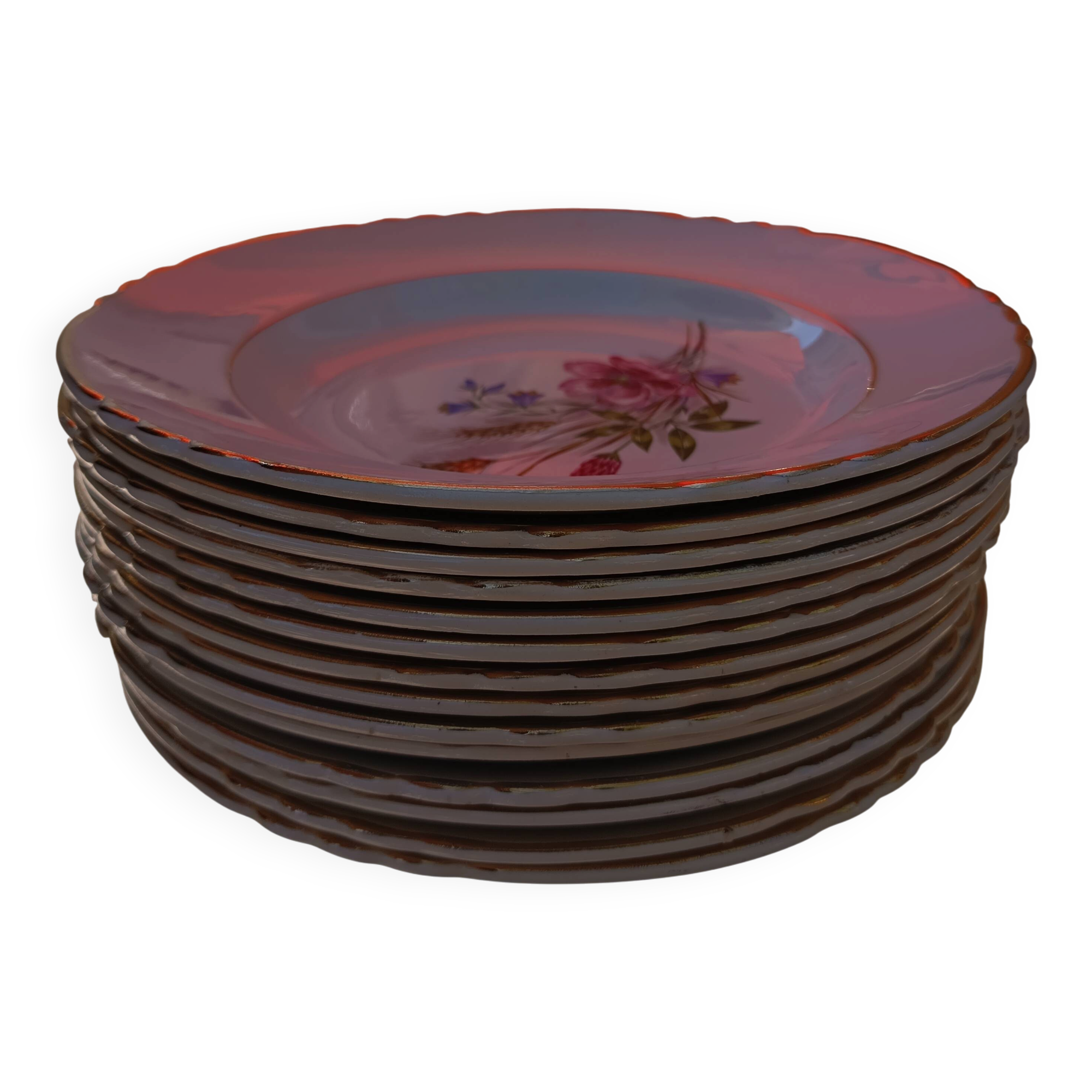 Lot de 14 assiettes creuses champêtre