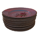 Set of 14 country-style deep plates