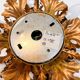 Florentine ceiling or wall lamp attributed to Banci Firenze, 1960s