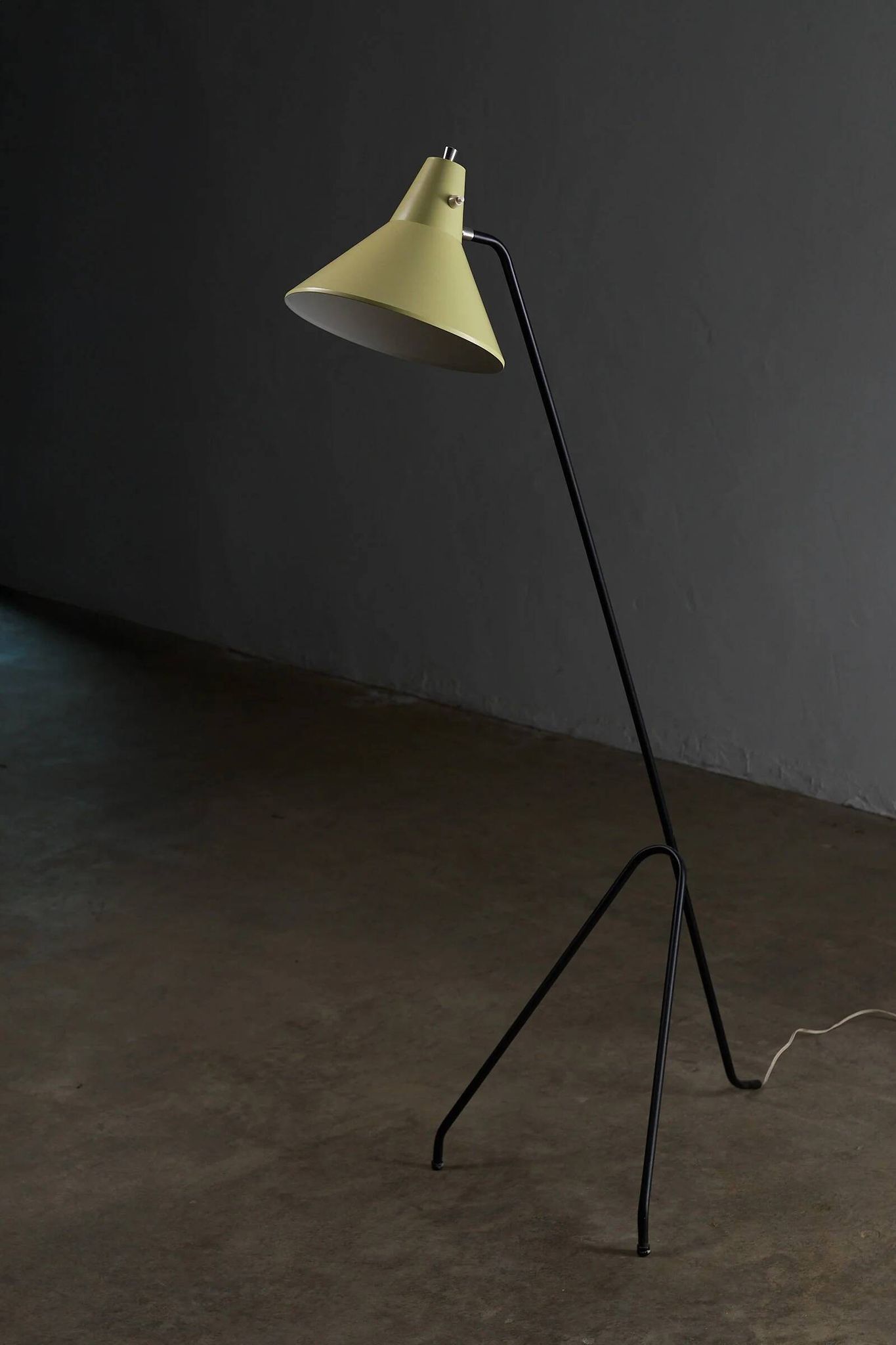 Grasshopper tripod floor lamp by Willem van Doorn