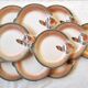 Set of 11 flat plates