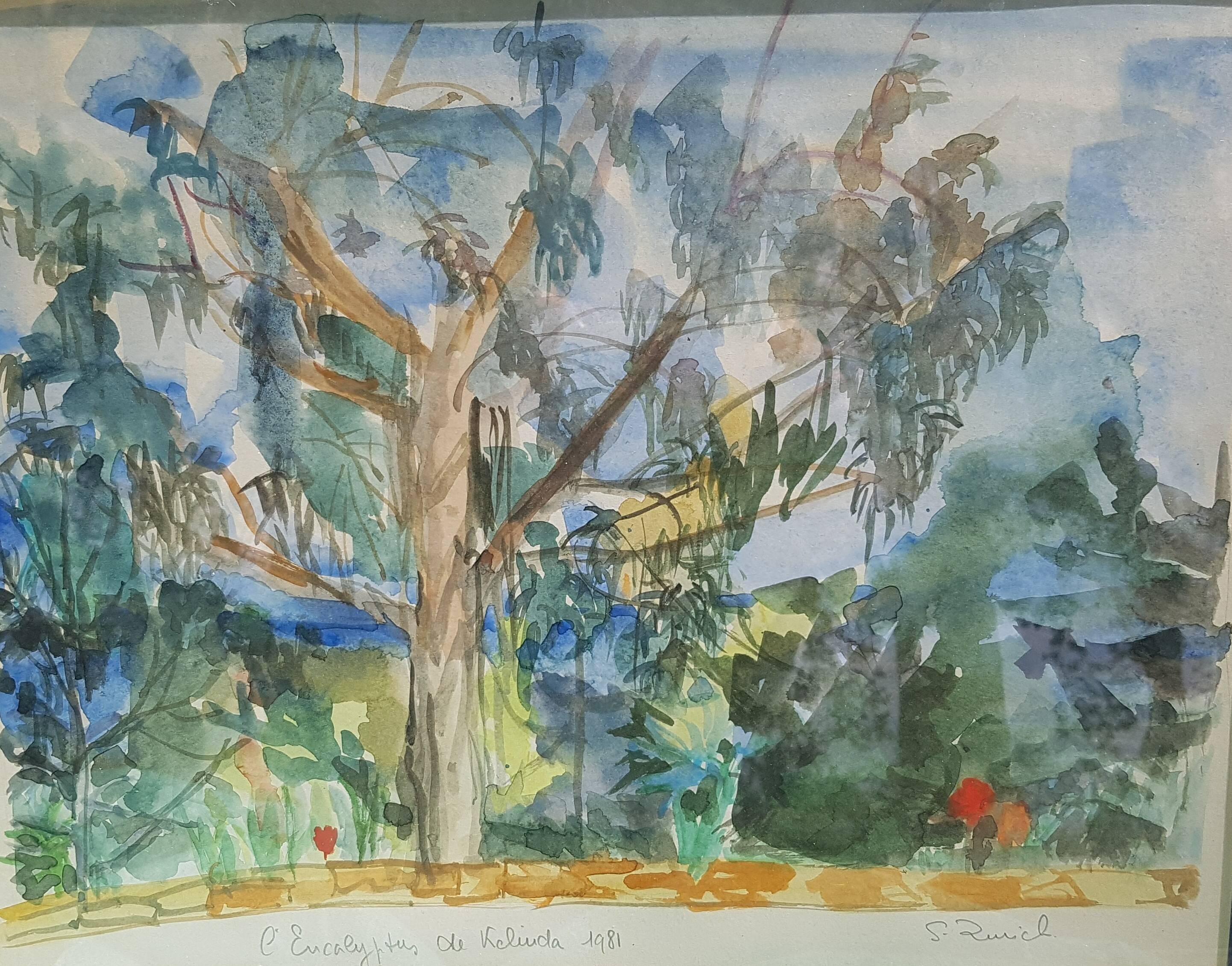 Watercolour 1981 "The Eucalyptus of Kelinda", signed S. Zurich and framed.