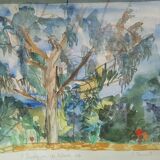 Watercolour 1981 "The Eucalyptus of Kelinda", signed S. Zurich and framed.