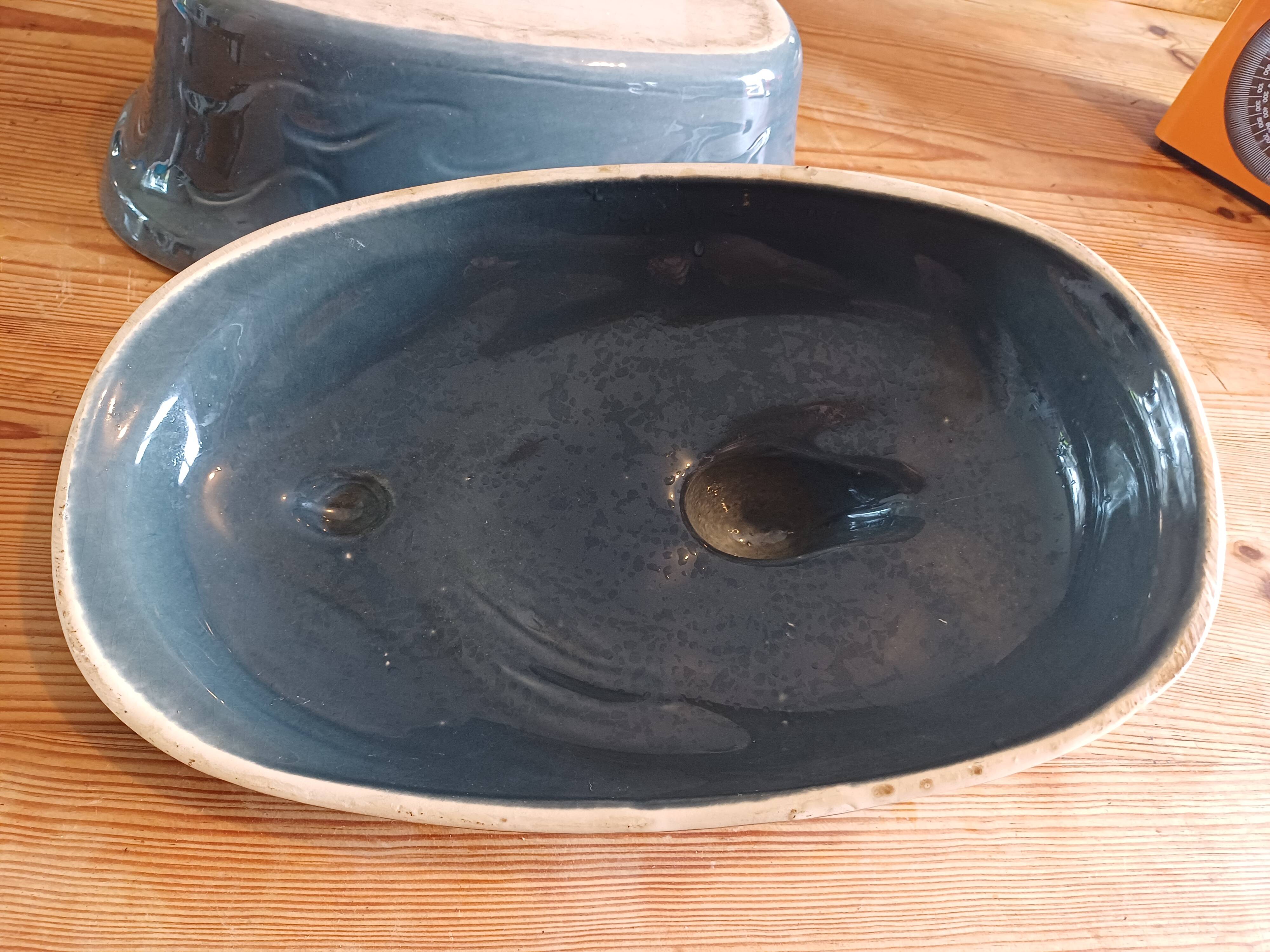 BCI Brand Ceramic Duck Terrine