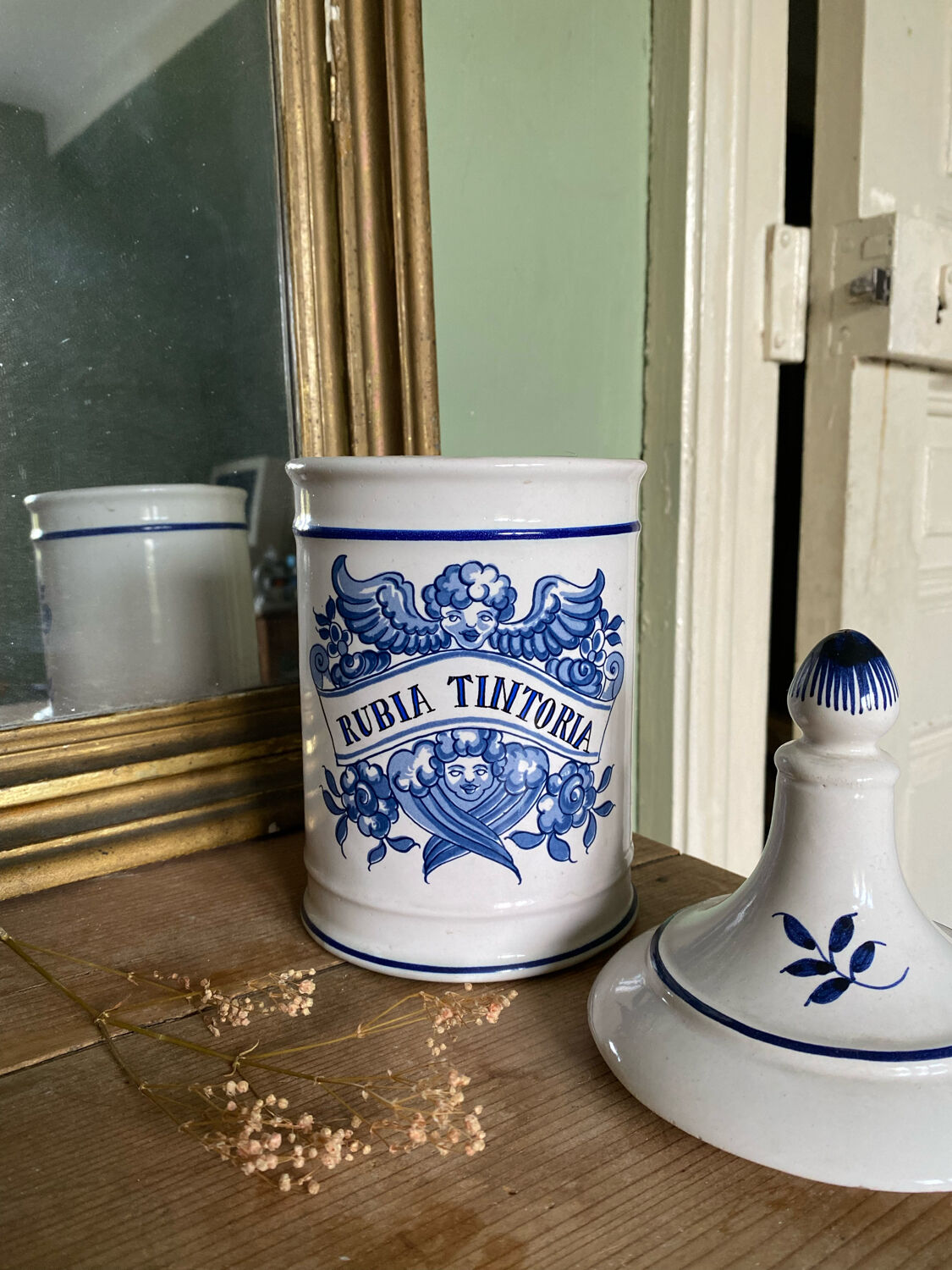 Pot de pharmacie apothicaire Rubia Tintoria