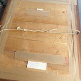 Portrait young woman