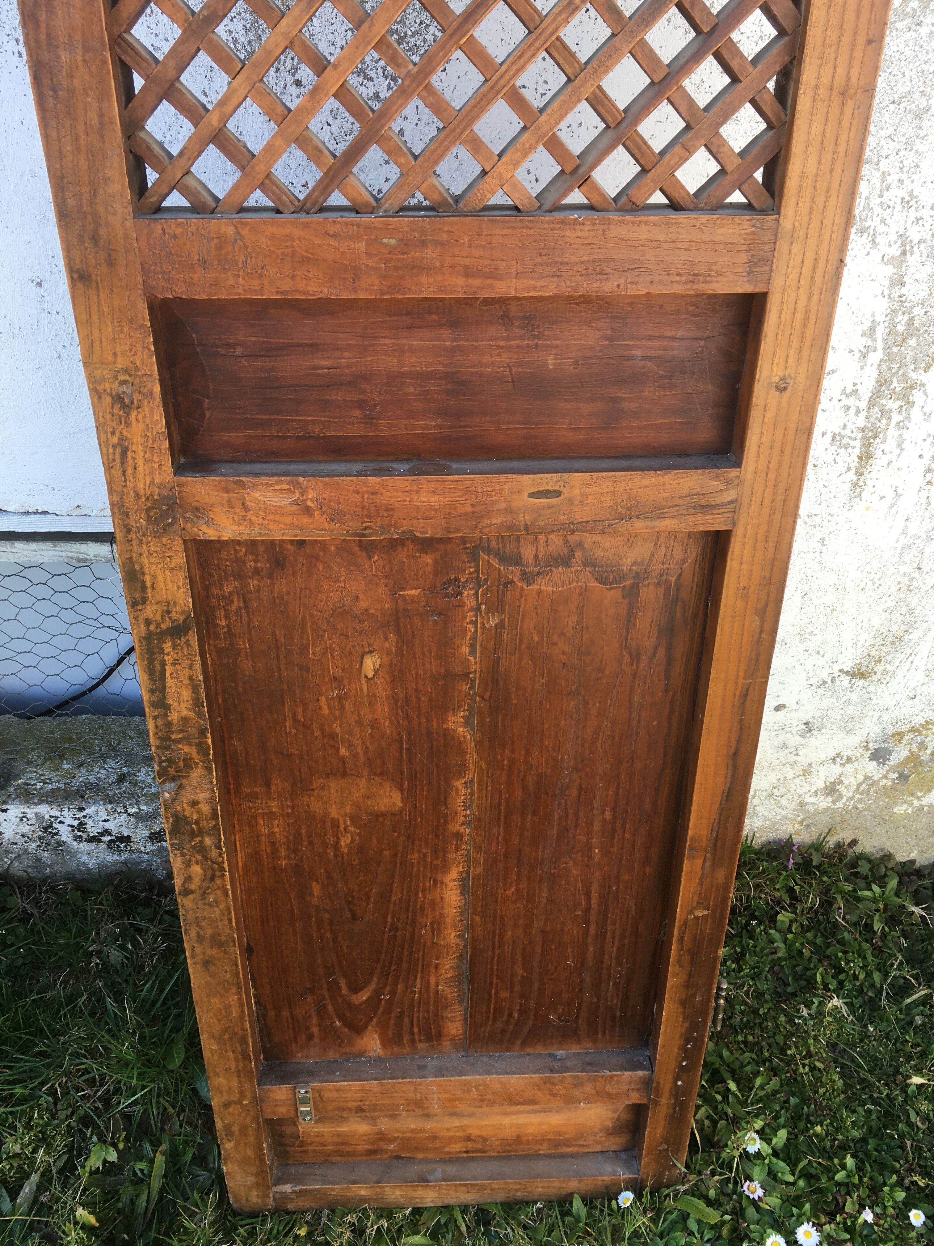 Indian teak door