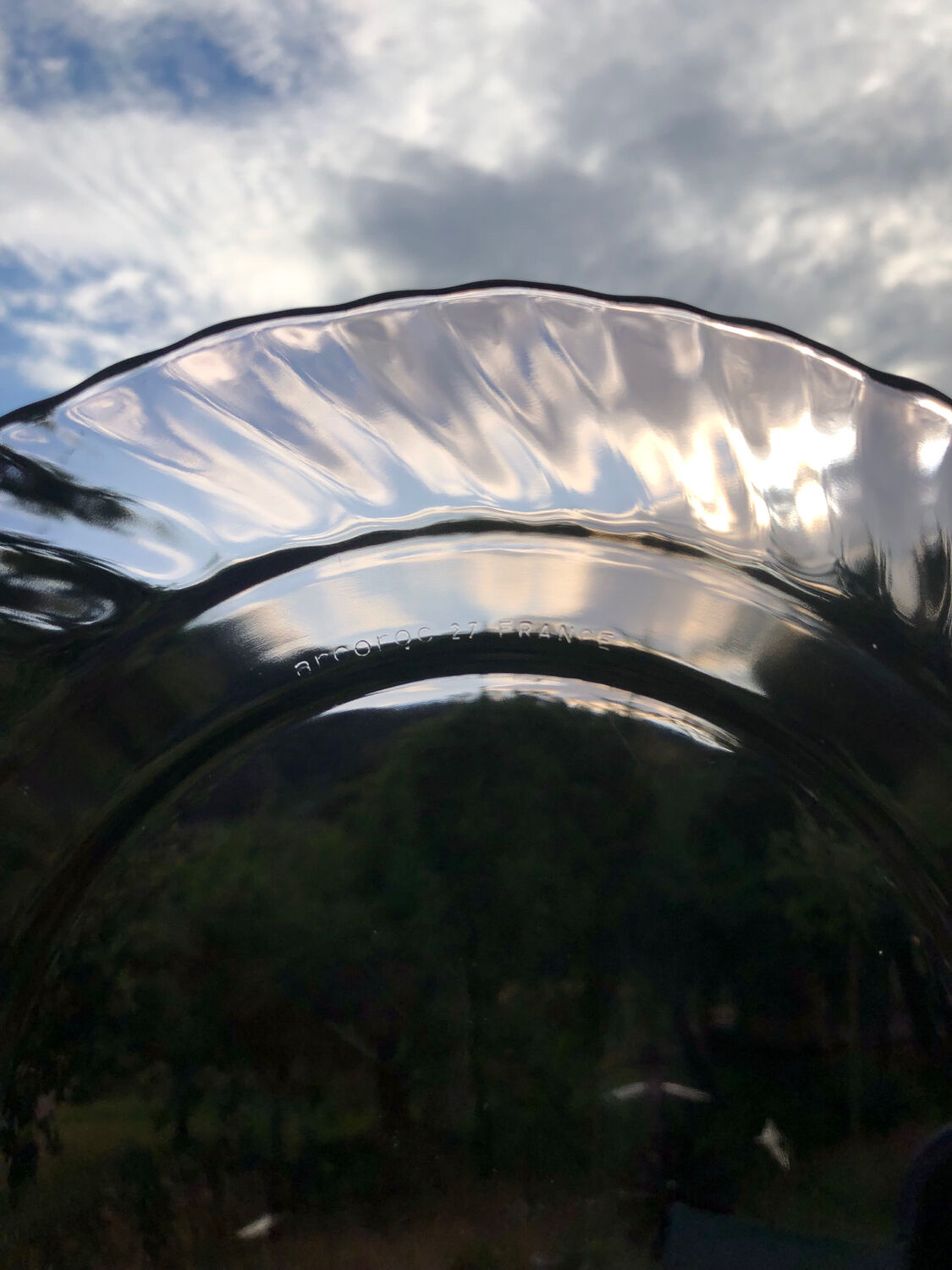 Lot 6 hollow plates Rosaline