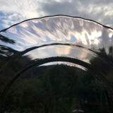 Lot 6 hollow plates Rosaline