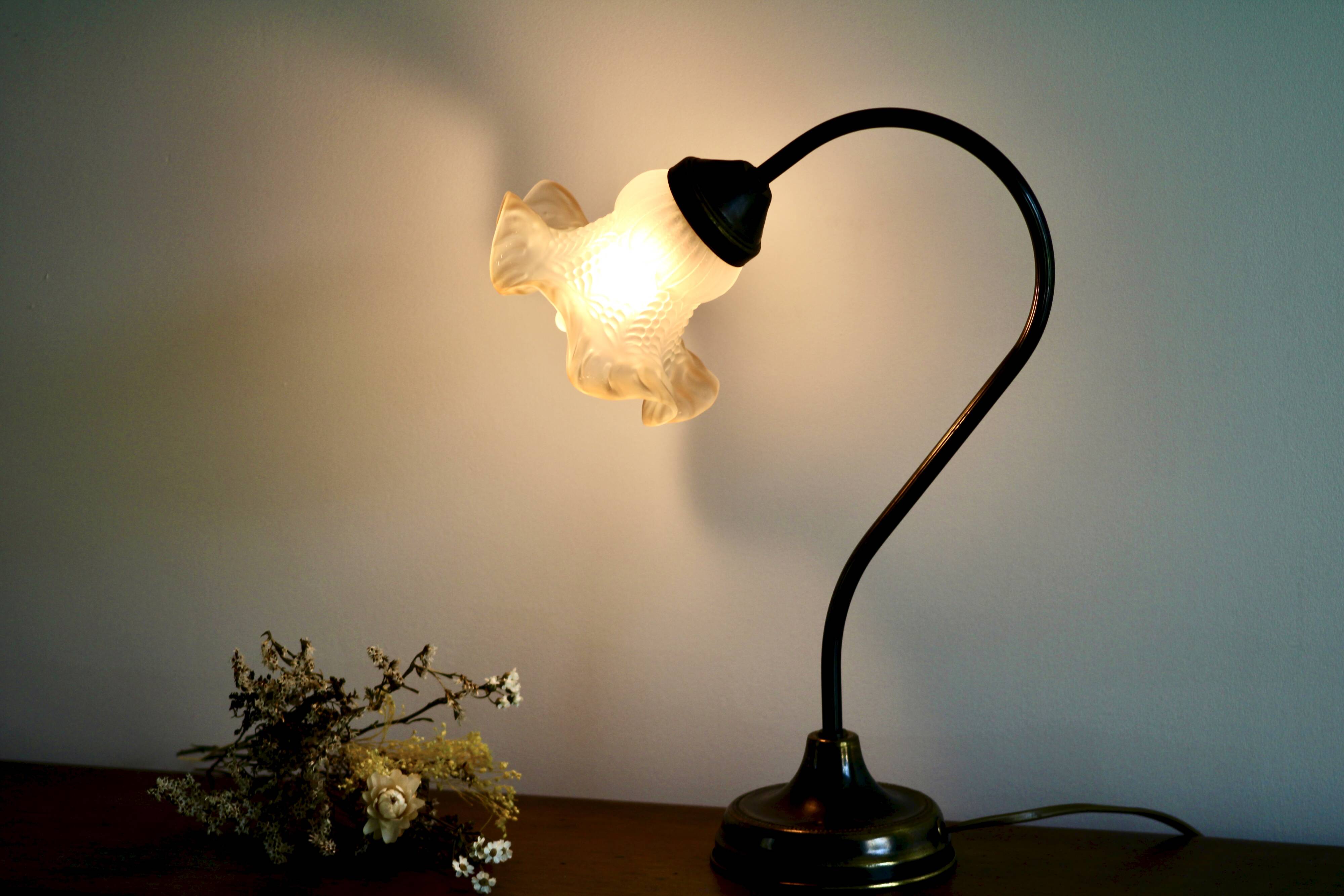 Delmas gooseneck lamp in brass with tulip globe