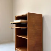 Vintage Danish teak Storage cabinet (audio or record cabinet)