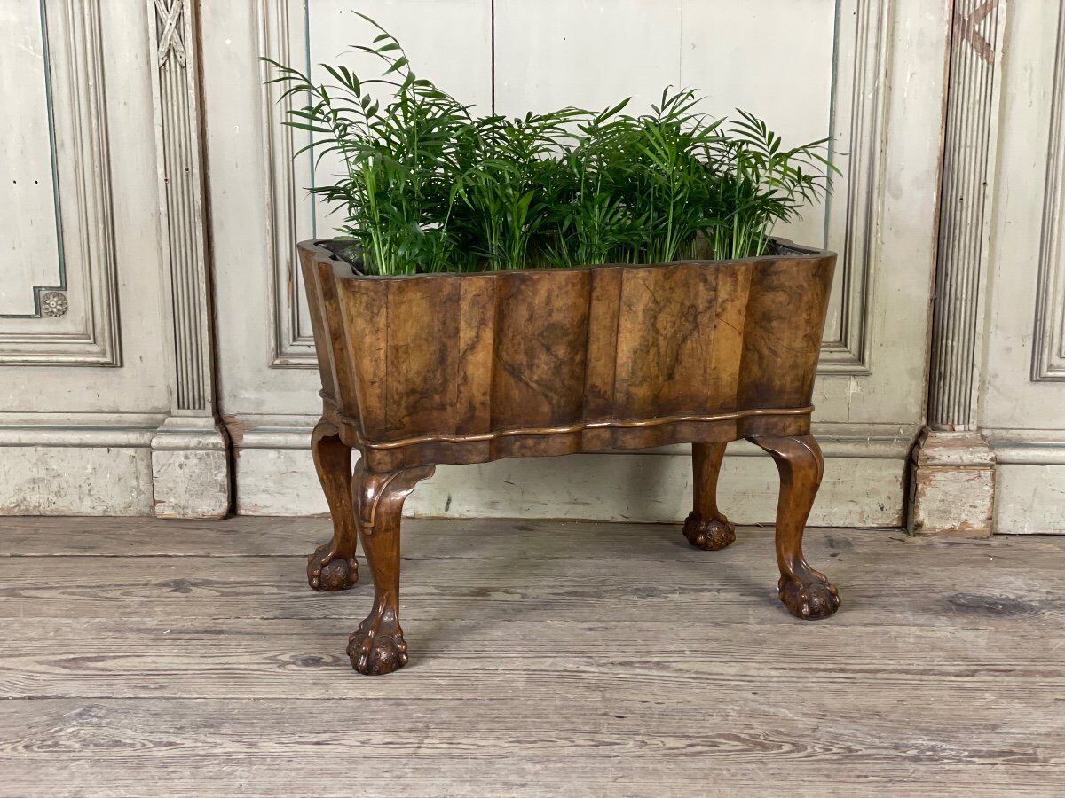 Planter in walnut, england circa 1880