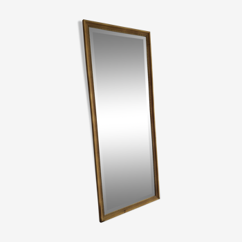 Mirror 55x137cm