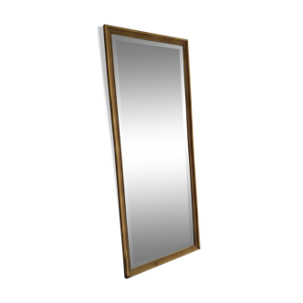 Mirror 55x137cm