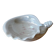 Iridescent porcelain shell catchall