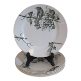 P.Luce Paris 5 Flat plates in Iron Earth bird décor