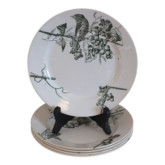 5 assiettes plates en terre de fer décor oiseaux P.Luce Paris