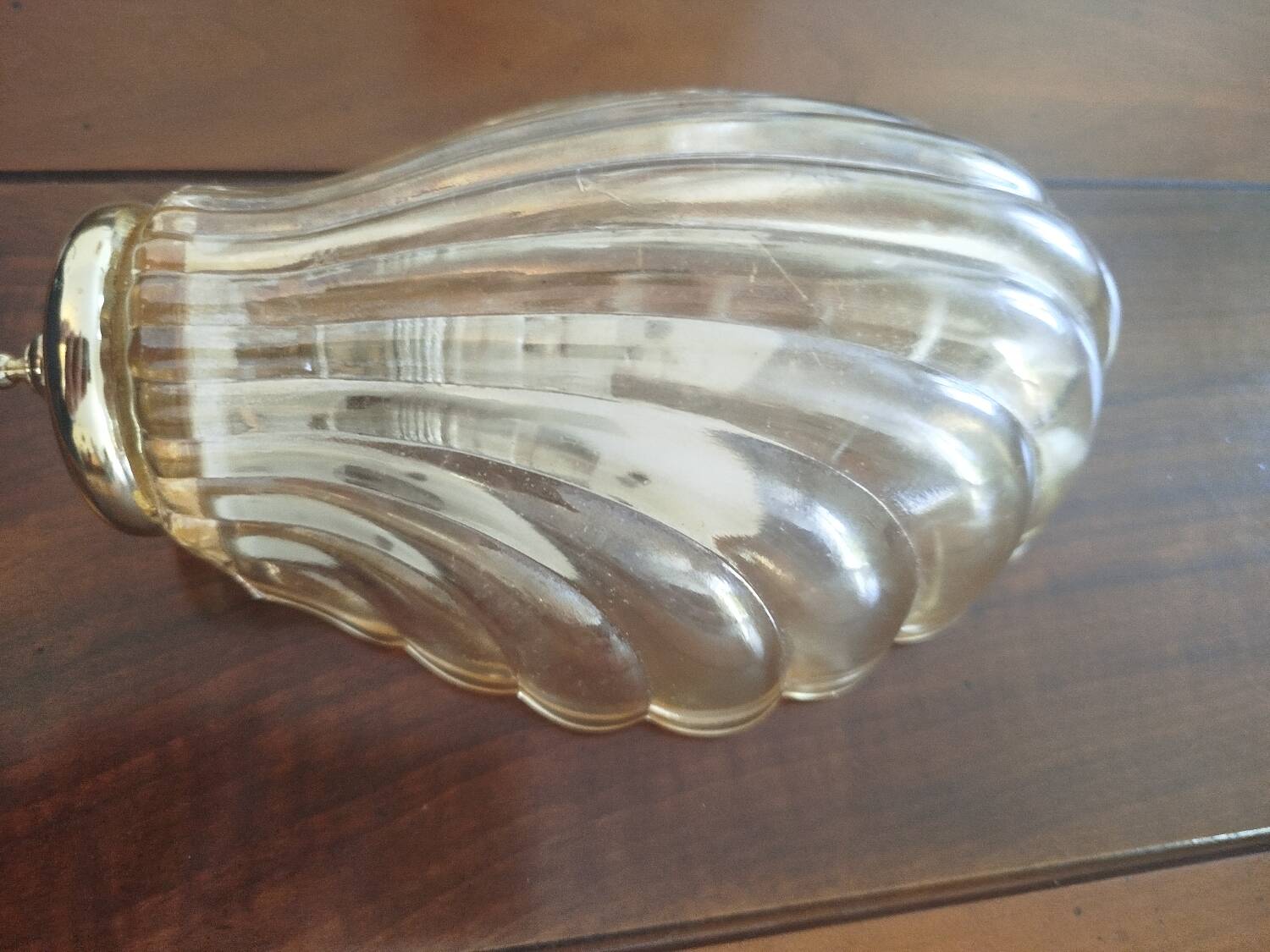 Pair of shell wall sconces – striped Italian glass – 1970