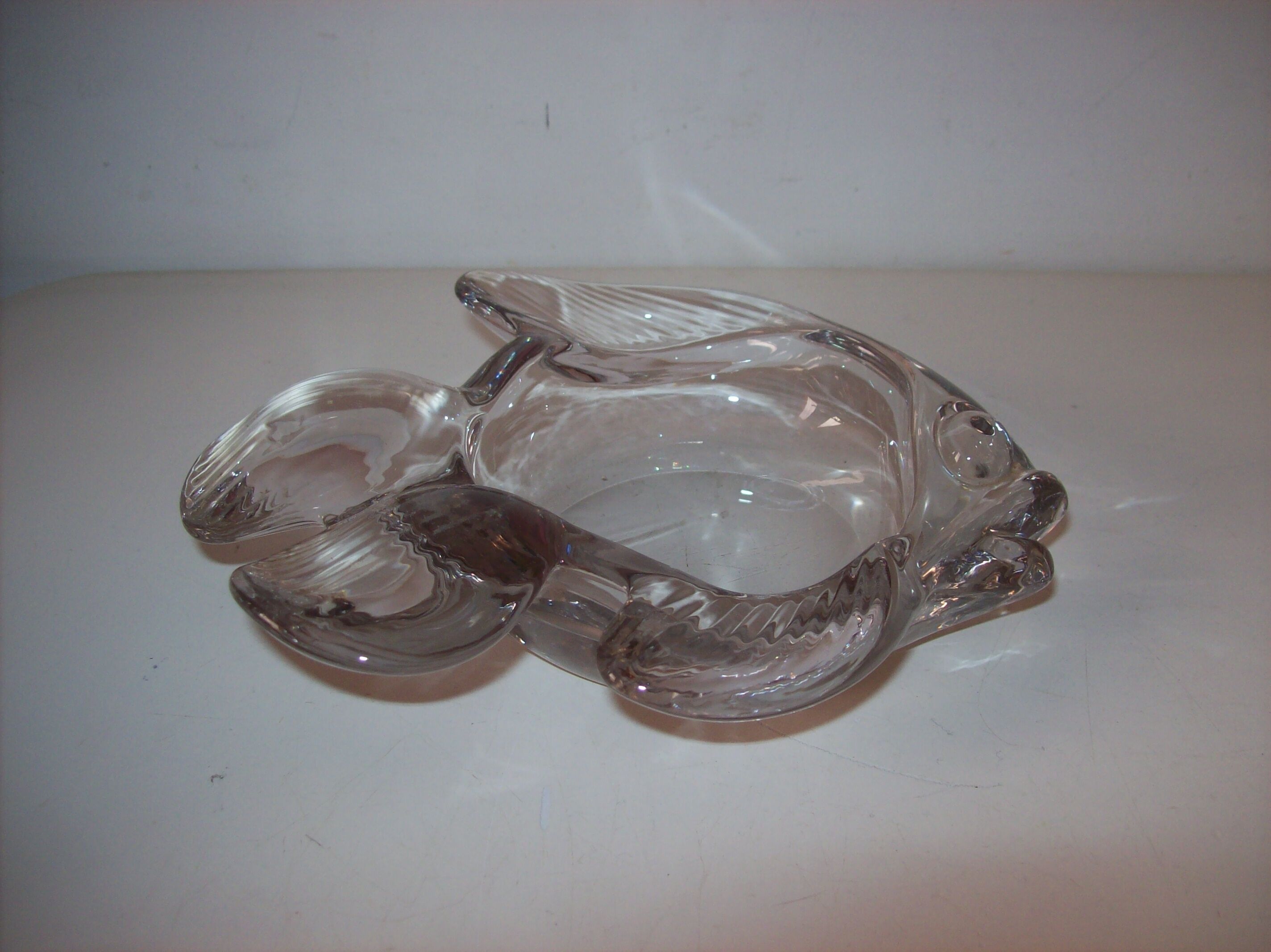 Empty glass fish bag