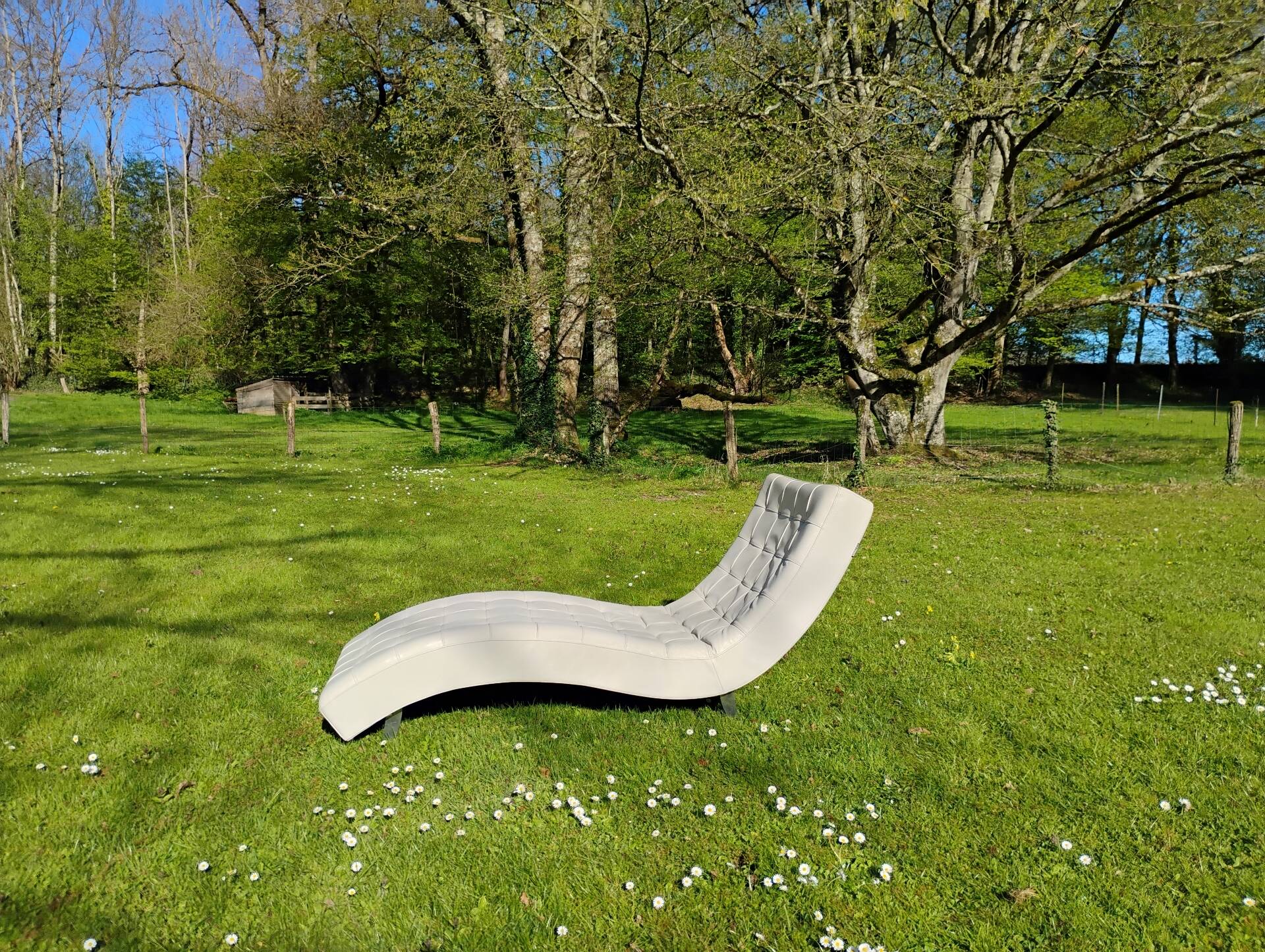 Roche Bobois Dolce armchair