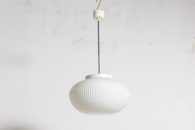 Suspension Fog and Morup