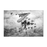 L.In the sky with gooses 2018