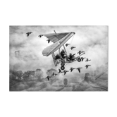 L.In the sky with gooses 2018
