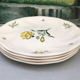 Flat plates stamped saline France