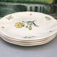 Flat plates stamped saline France
