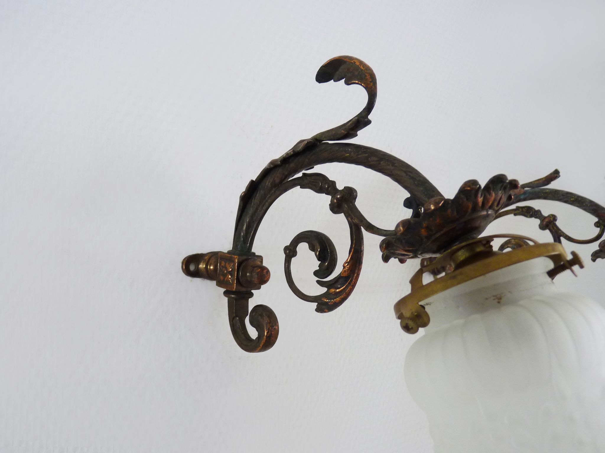 Pair of brass swan collar wall sconces, glass tulips, years 50