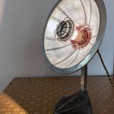 Cobra parabolic lamp with enameled cast iron base, Art Nouveau.
