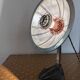 Cobra parabolic lamp with enameled cast iron base, Art Nouveau.
