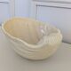 Shell bowl