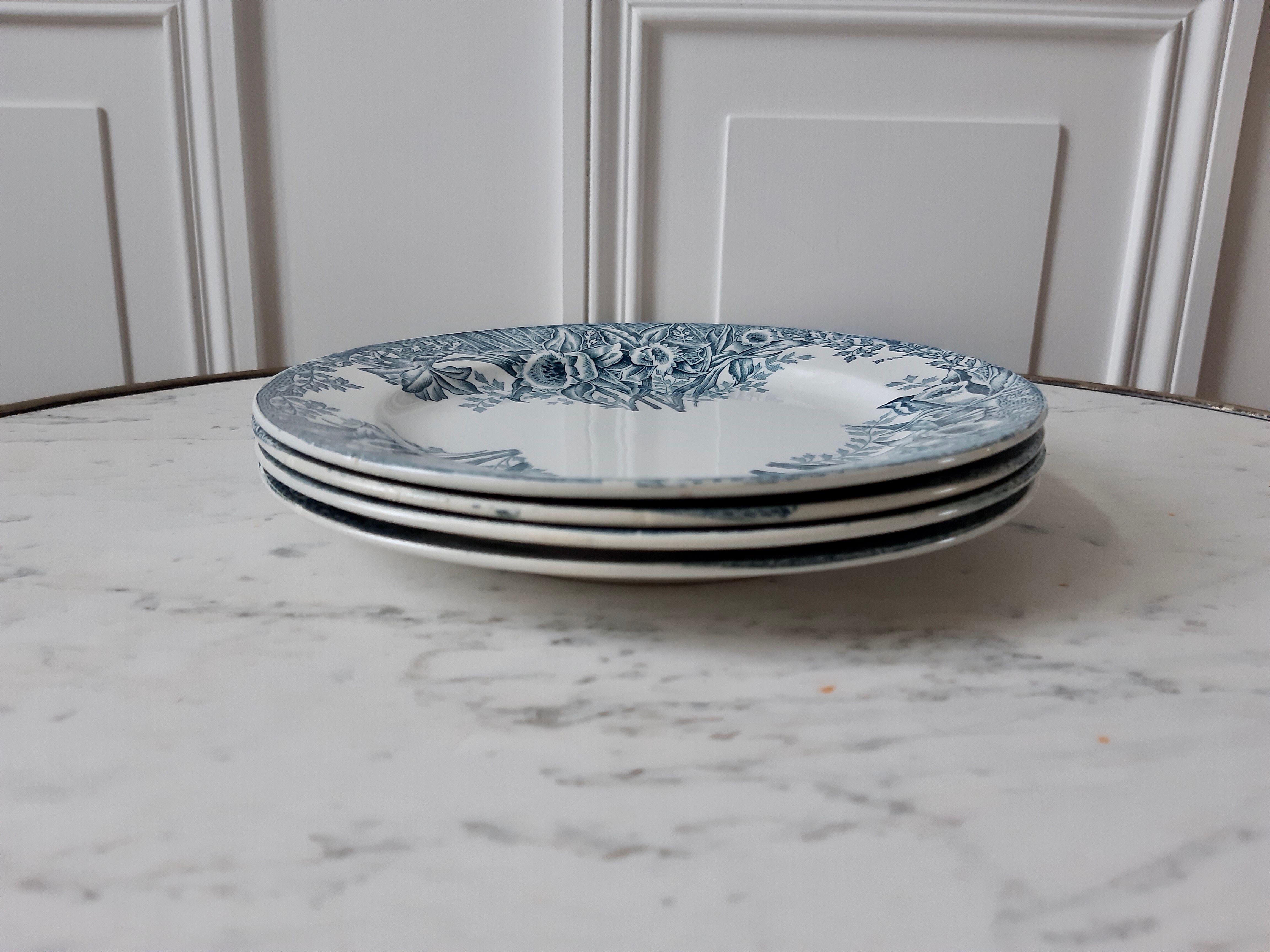 Saint Amand Plates, Narcissus model