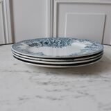 Saint Amand Plates, Narcissus model