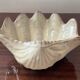 Vintage ceramic shell emptier Italy
