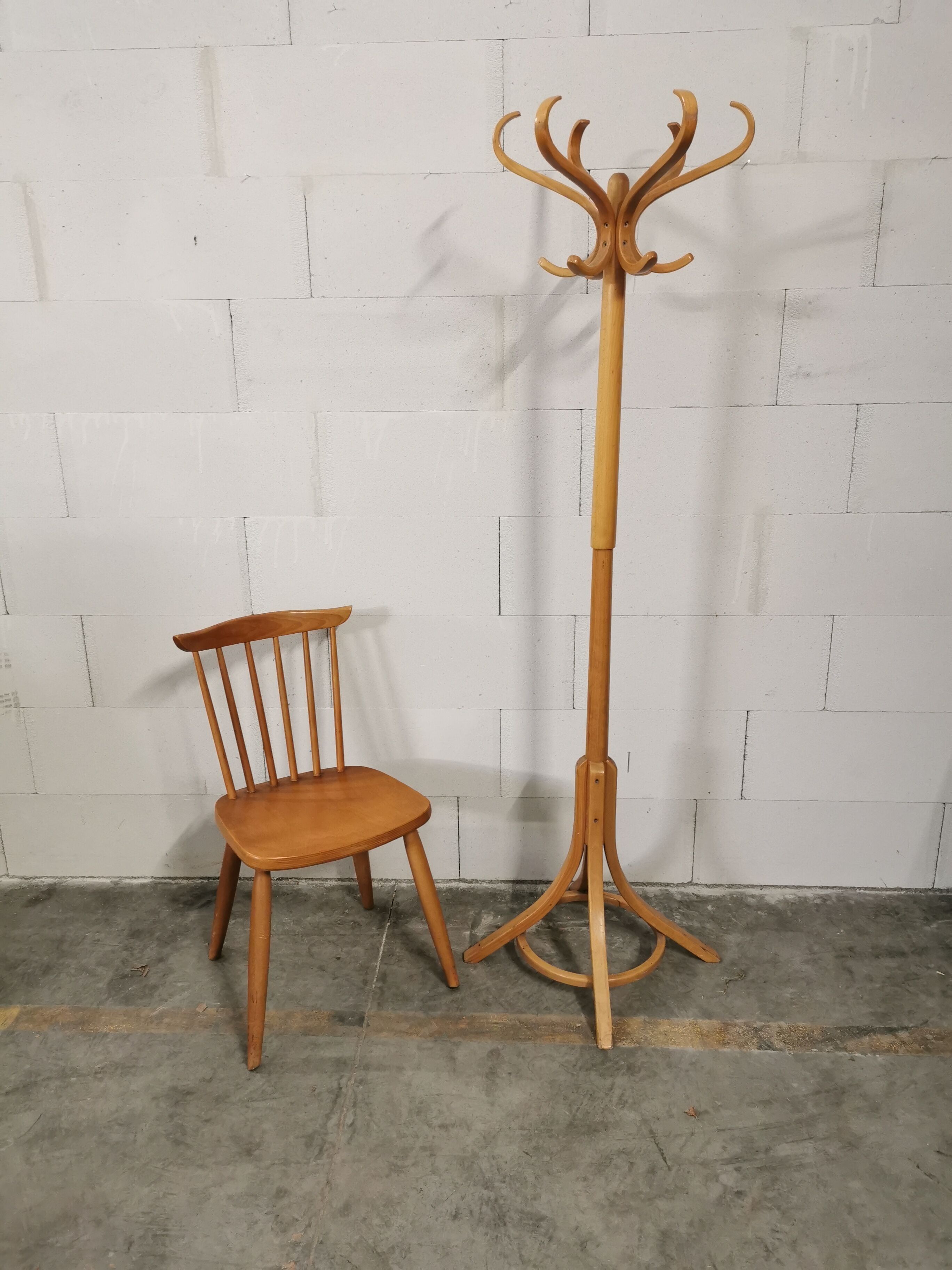 Baumann parrot coat holder