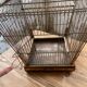 Vintage gold metal cage