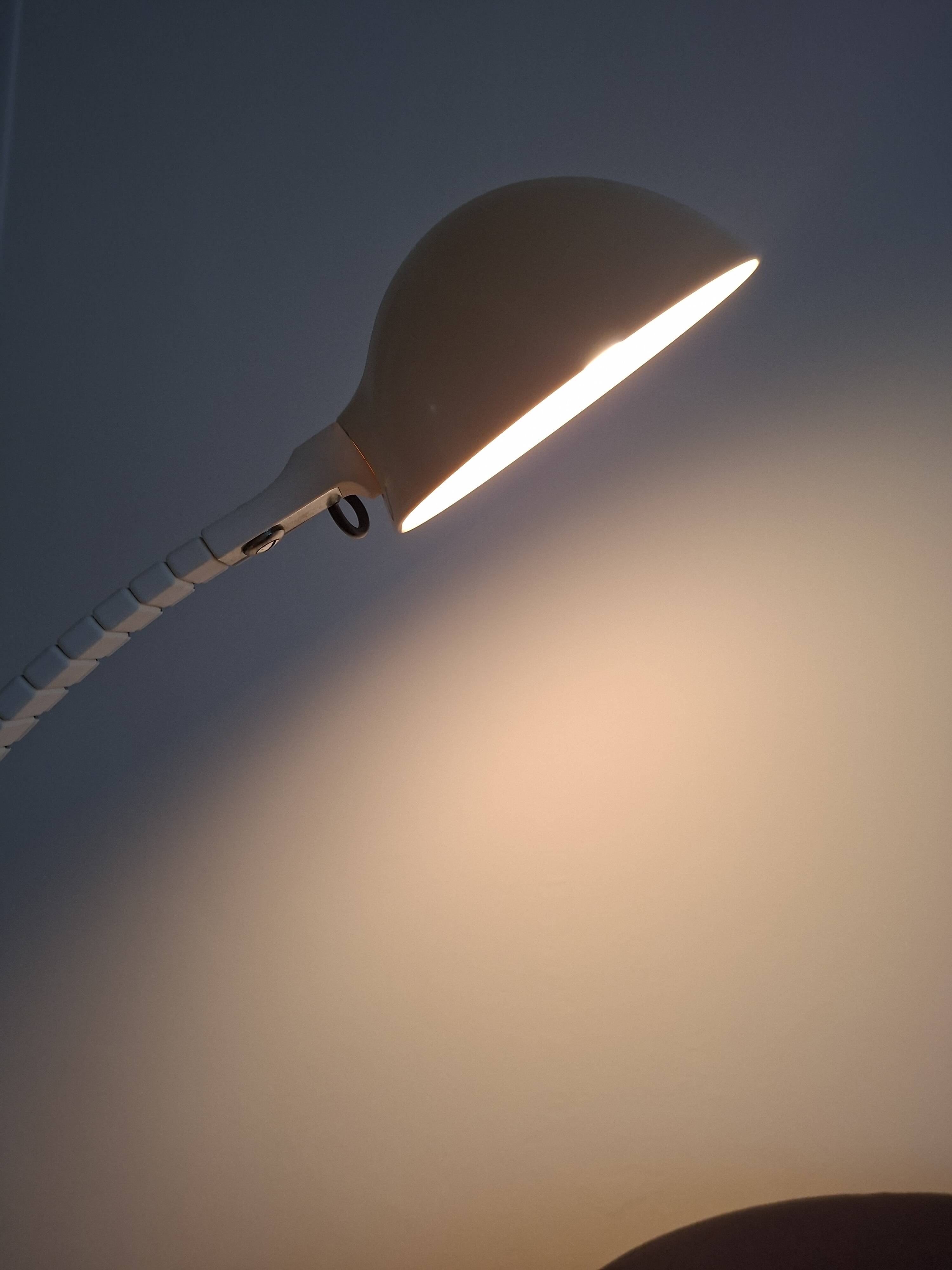 Martinelli Luce Flex Lamp