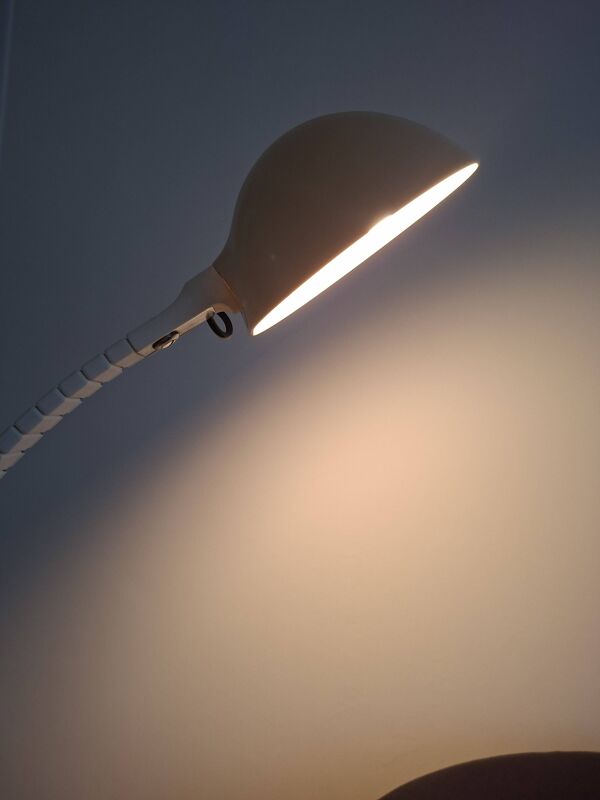 Lampe Flex Martinelli luce
